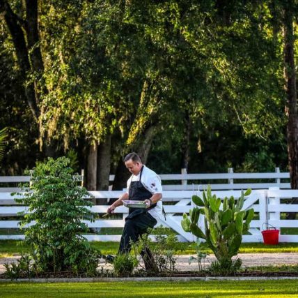 Rosy Tomorrows redefines farm to table in Florida